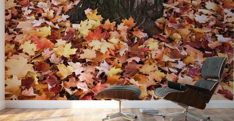 Leaves Me Stumped 1A Wall Murals