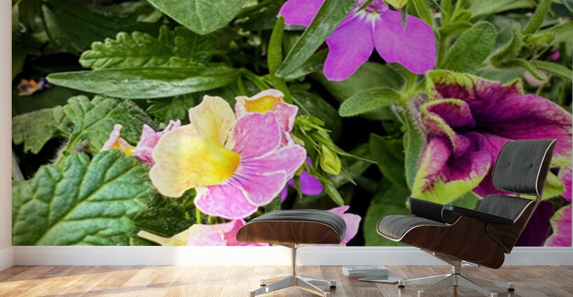 Vibrant Garden Bloom – Colorful Flower Close-Up with Lush Greenery-1 Wall Murals