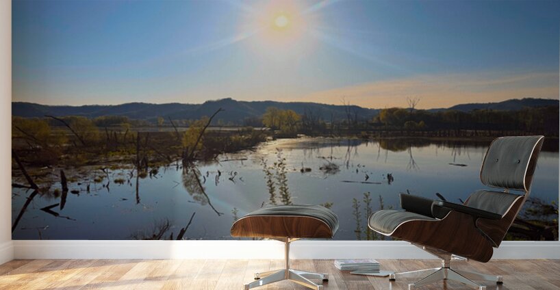 Sunrise Over Tranquil Wetlands with Sunbeam Reflection Wall Murals
