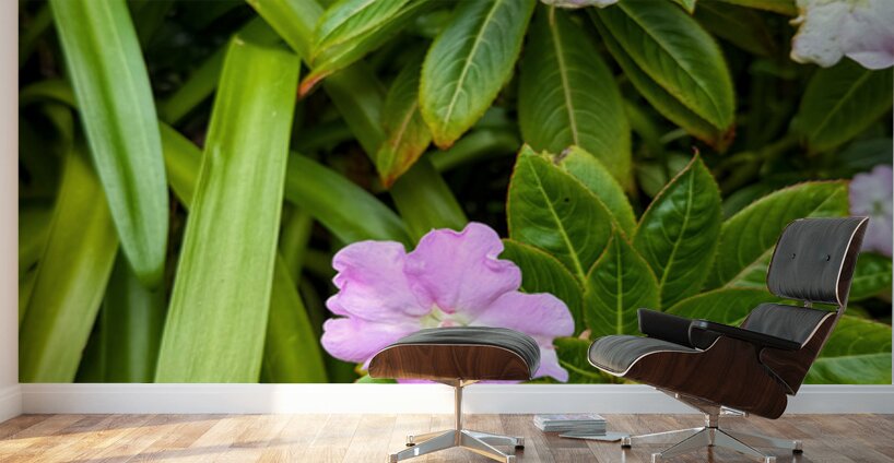 Green Rhythm Pink Pause Wall Murals