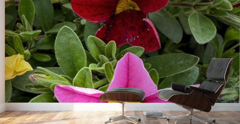 Bold Petals Quiet Strength Wall Murals