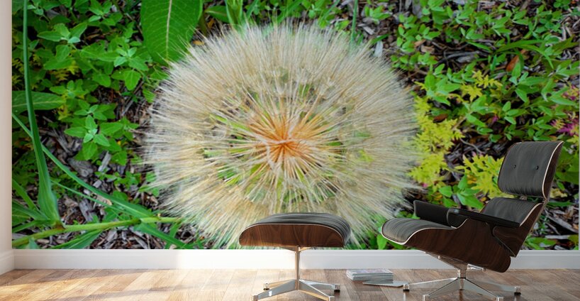 The Poetic Geometry of a Meadow’s Breath Wall Murals