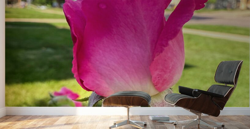 The Blush Before the Bloom Wall Murals