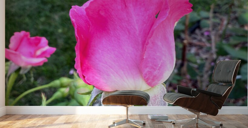 Velvet Guard of the Gardens Heart Wall Murals