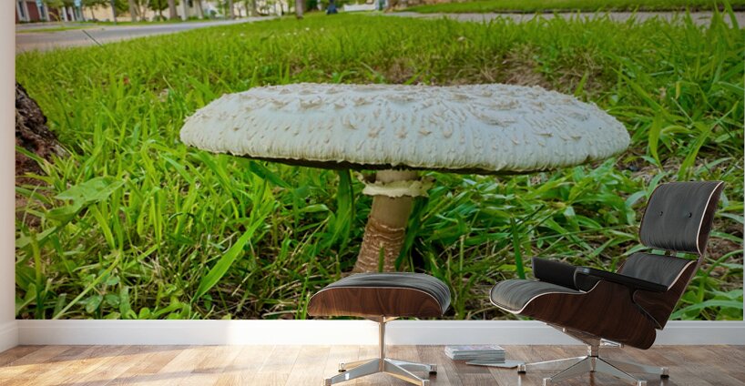 Capstone of the Lawn Wall Murals