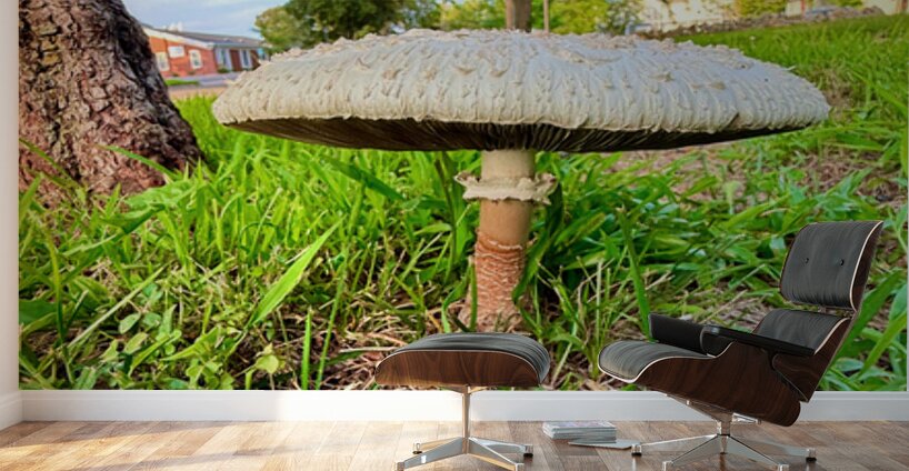 The Lowland Throne Wall Murals