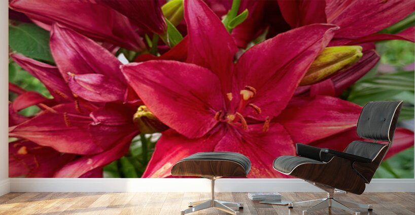 The Gathering of Fire Blooms Wall Murals