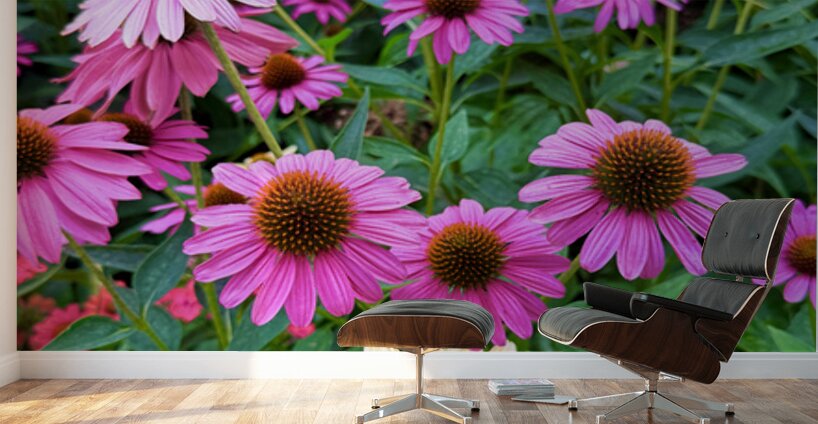 The Garden Collective Wall Murals