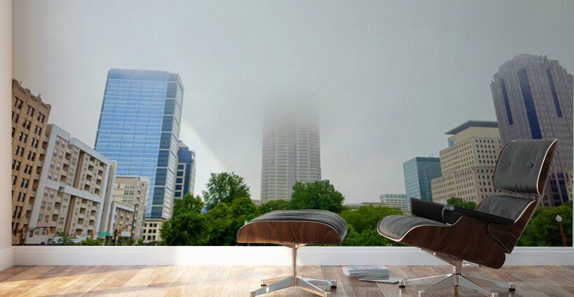 Foggy Skyline with Park Wall Murals