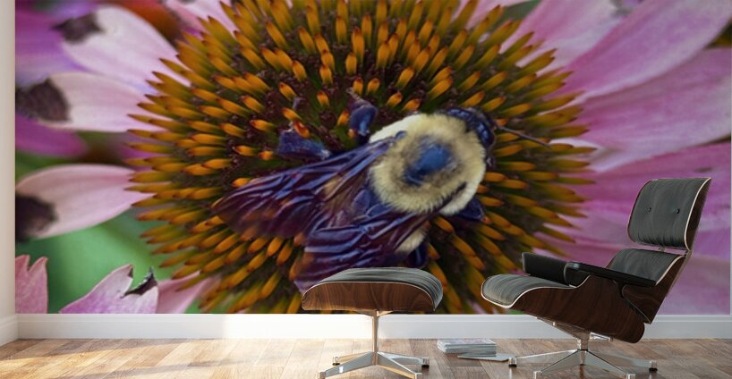 The Heart of Nature Wall Murals