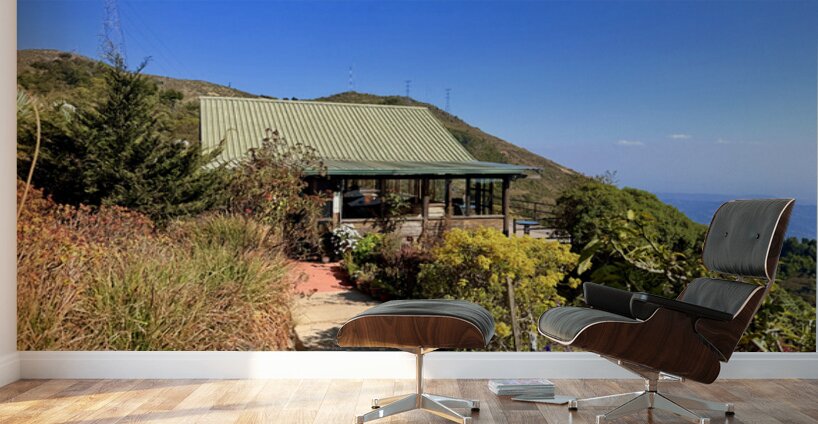 IMG 9695 Wall Murals