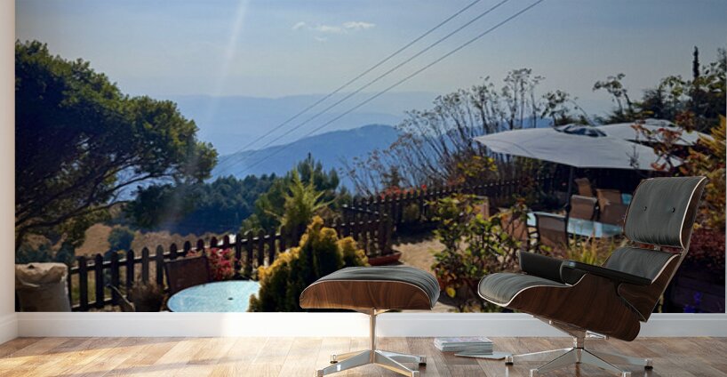 IMG 9693 Wall Murals