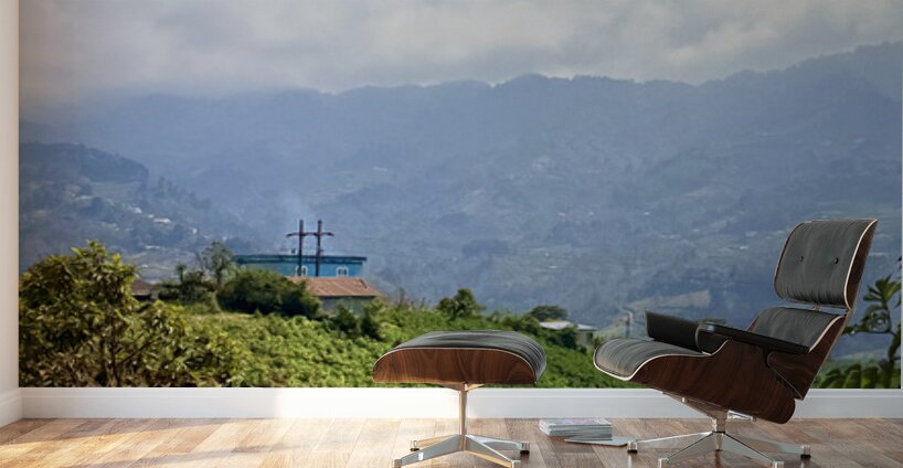 IMG 9267 Wall Murals