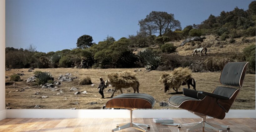 IMG 9555 Wall Murals