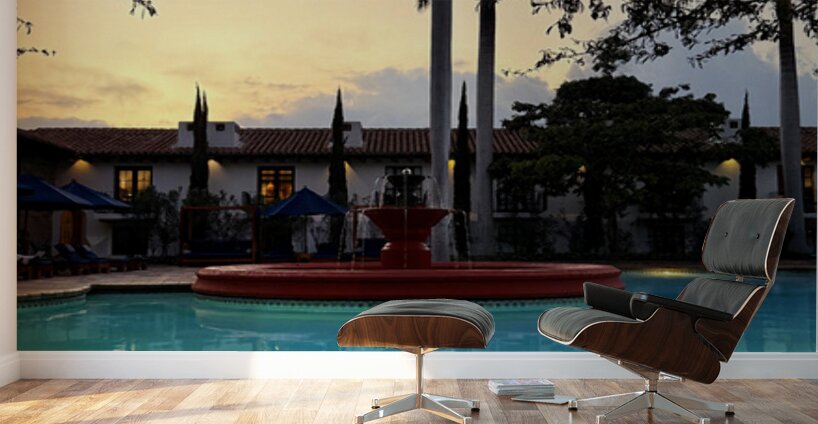 IMG 9993 Wall Murals