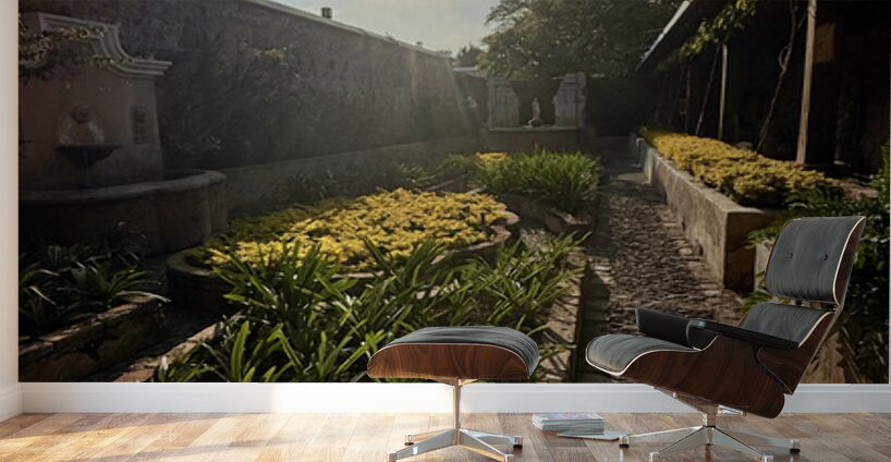 IMG 9939 Wall Murals