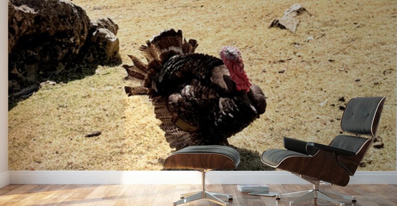 IMG 9621 Wall Murals