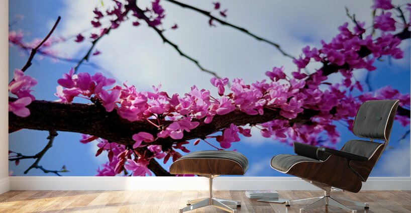 Blossom Light Wall Murals