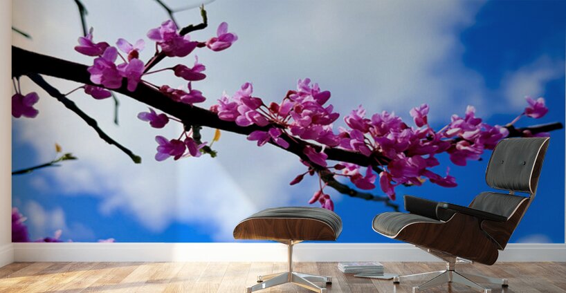 Bloom Bridge Wall Murals