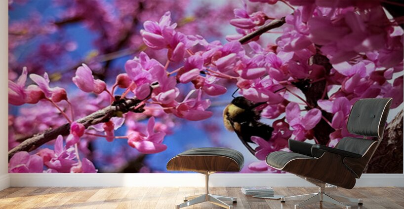Pink Sky Bee Wall Murals