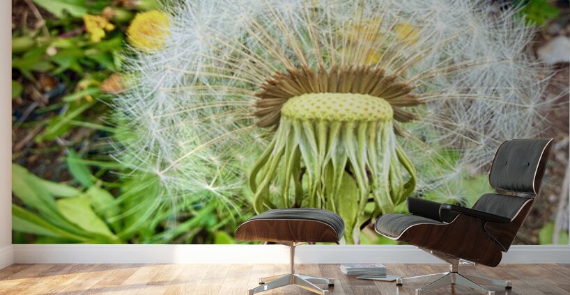 Garden Level Wall Murals