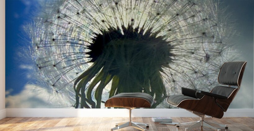 Nature’s Halo Wall Murals