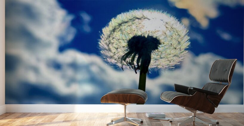 Wild Sky Seeker Wall Murals