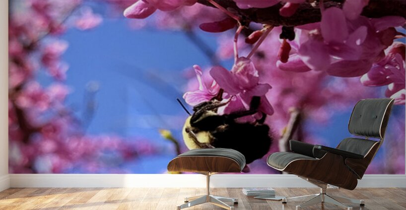 The Spring Shift Wall Murals