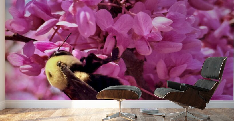 The Golden Visitor Wall Murals