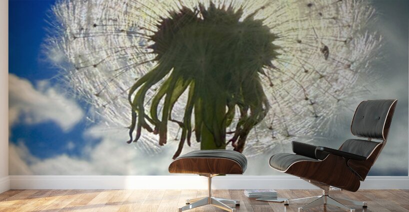 Skybound Dandelion Wall Murals
