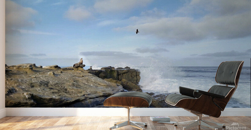 Seal Meditation 2B Wall Murals