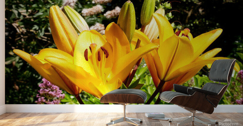 Bursting Beauty Wall Murals