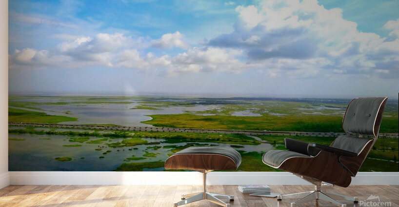 New Orleans from the Sky Wall Murals