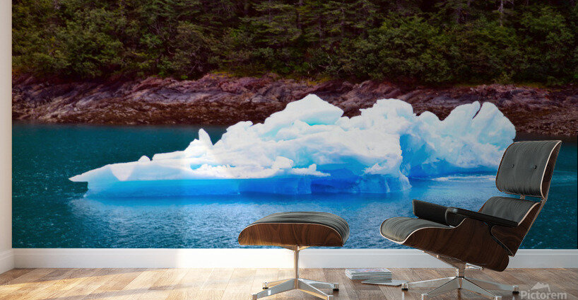 No Man is an Island Iceberg Wall Murals
