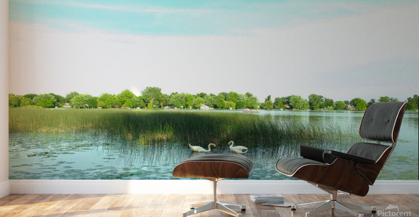 MI Swan Lake 2 Wall Murals