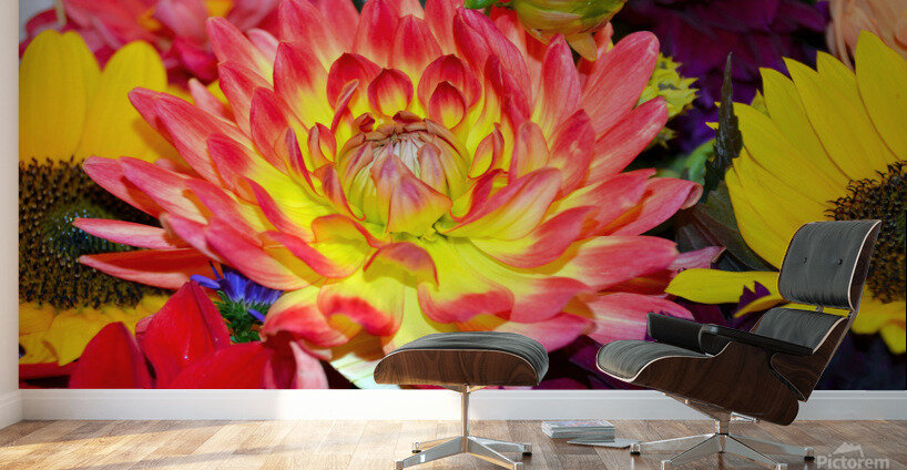 Flower Bloom 2 Wall Murals
