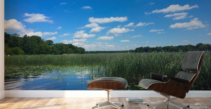 Blue By You Wall Murals