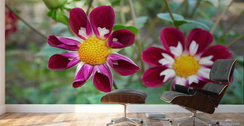 Flower Bloom 5B Wall Murals