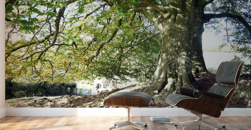 Rooted in Strength Wall Murals