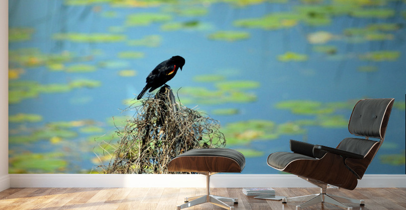 Praying for a Miracle Wall Murals