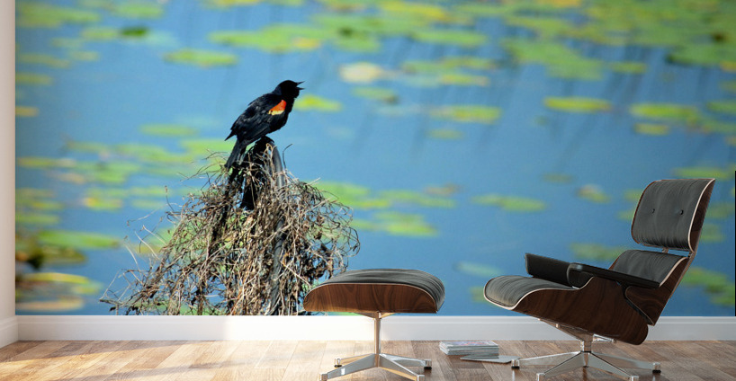 Calling for a Mate Wall Murals