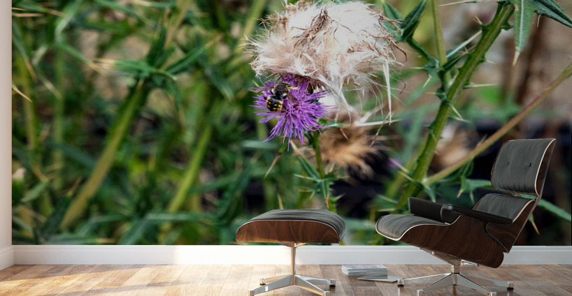 To Bee or Not to Bee   Wall Murals