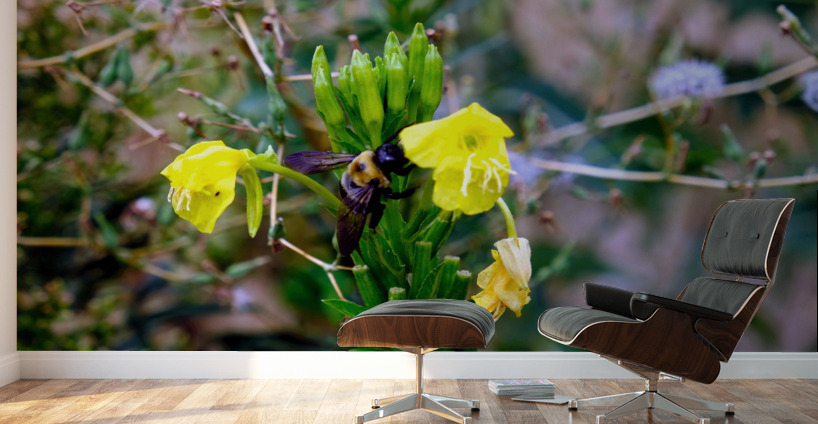 To Bee or Not to Bee  -- Checking Under The Hood Wall Murals