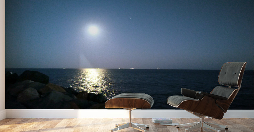 Reflections of the Moon at Poolbeg Wall Murals