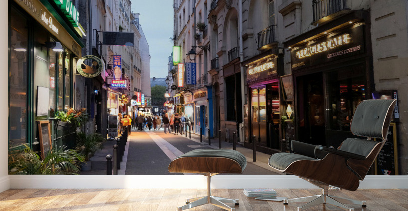 Streets of Paris -- Night Life  Wall Murals