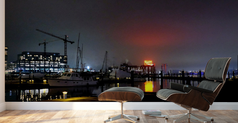 Beautiful Baltimore Harbor 3B Wall Murals