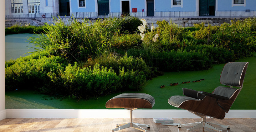 Ducking the Tourists Wall Murals