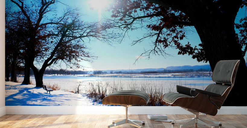 Winterscape 2 Wall Murals