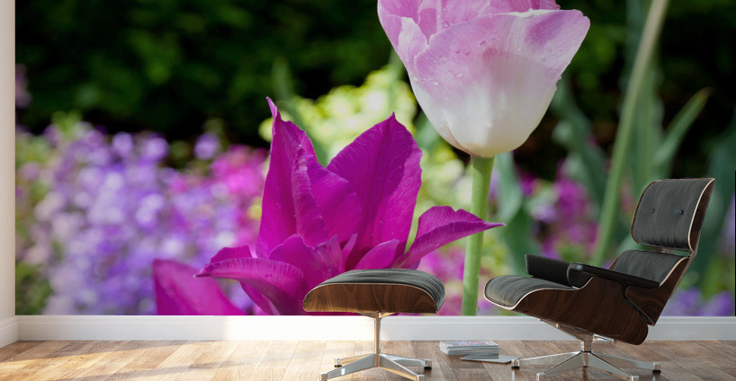 Tulips Are Better Than One 3 Wall Murals