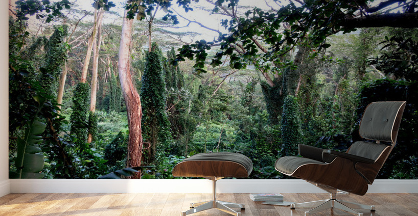 Welcome to Jurassic Park Wall Murals